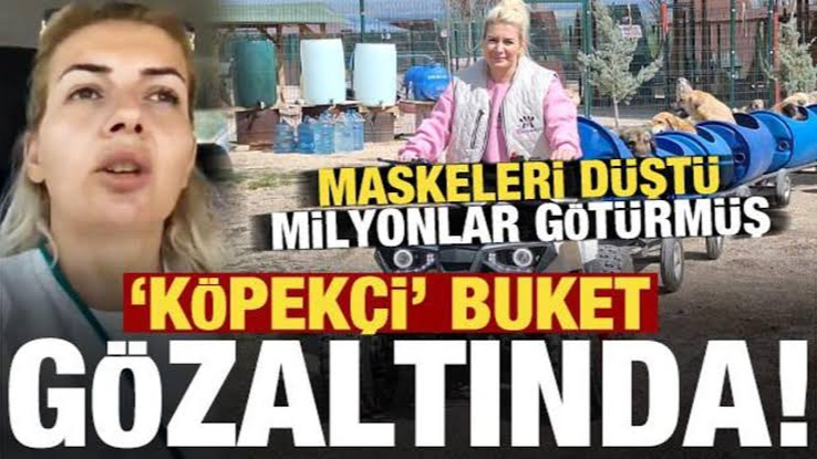 Kuduz Köpek Taşıyan Dernek Başkanı Hakkında Yolsuzluk Soruşturması: Gözaltına Alındı