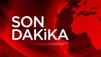 Kalabalığın arasına otomobil daldı: 11 ölü 80 yaralı