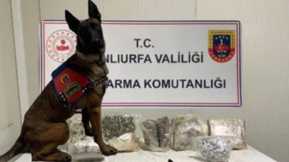 Şanlıurfa’da Jandarmadan Zehir Tacirlerine Darbe: 9,7 Kilo Esrar Ele Geçirildi