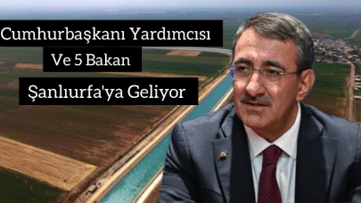 GAP Eylem Planı Şanlıurfa’da Açıklanıyor: Cumhurbaşkanı Yardımcısı ve 5 Bakan Geliyor