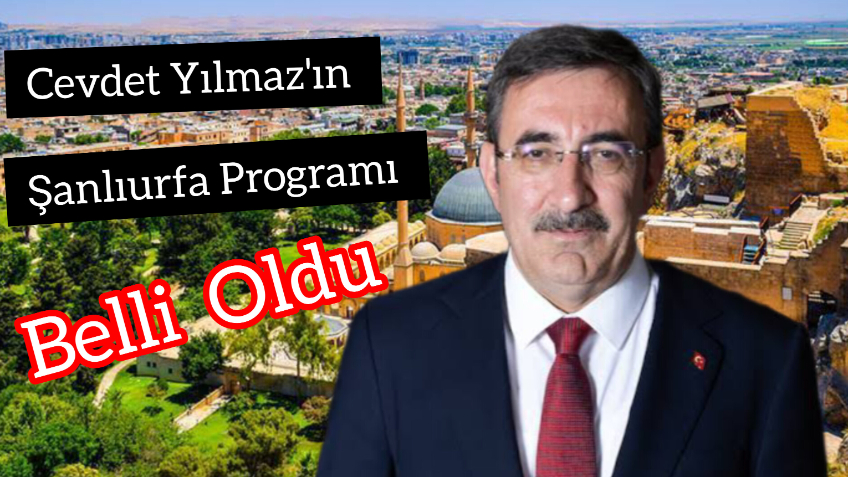 Cumhurbaşkanı Yardımcısı Cevdet Yılmaz'ın Şanlıurfa Programı Belli Oldu