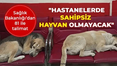 Hastane Bahçelerinde Sahipsiz Hayvanlara Önlem: Sağlık Bakanlığı 81 İle Talimat Gönderdi