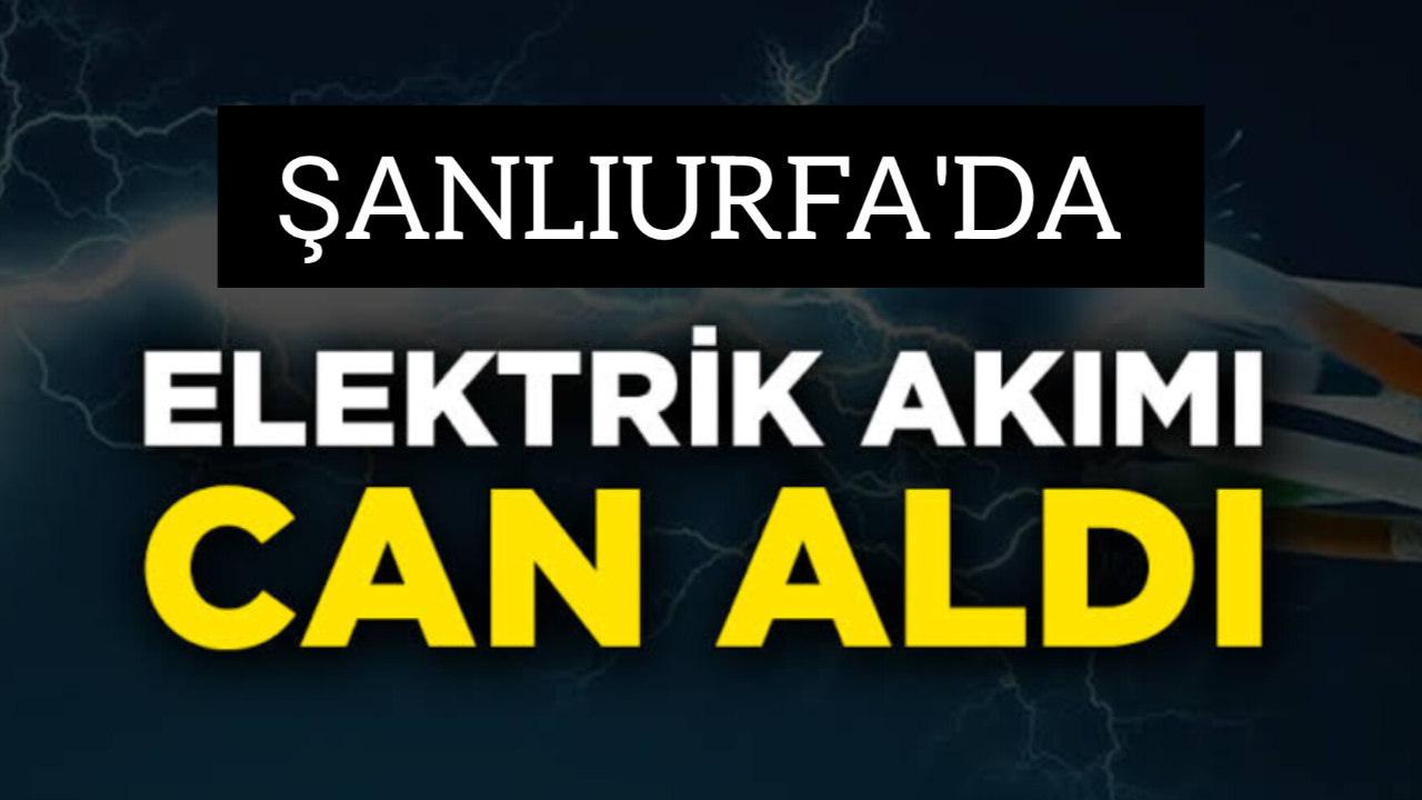 Şanlıurfa’da Feci Olay: 5 Yaşındaki Çocuk Elektrik Akımına Kapılarak Hayatını Kaybetti