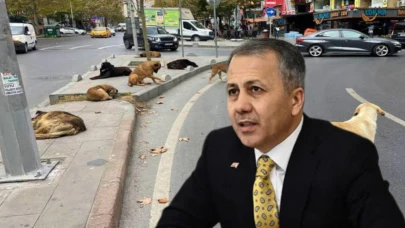 Bakan Yerlikaya'dan Valiliklere Sert Talimat: “Sokak Köpekleri Ya Toplanacak Ya da Yasayı Uygulayacağız!”