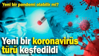 Bilim Dünyası Alarmda: MERS-CoV Benzeri Yeni Koronavirüs Keşfedildi! Pandemi Riski mi?