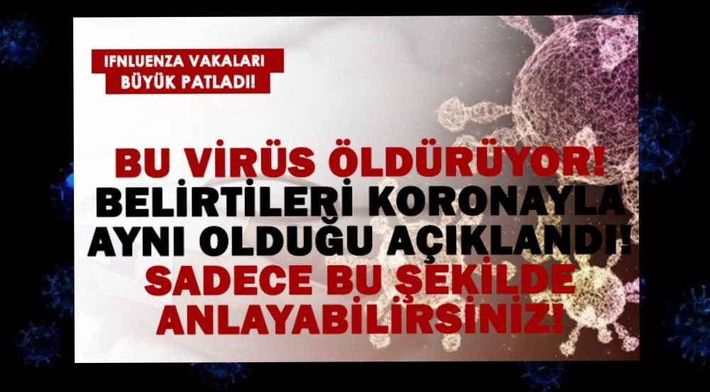 Bu virüs öldürüyor!