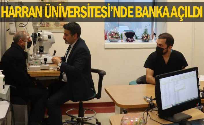 Yalnız bu banka para bankası değil!