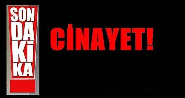 Cinayet içinden cinayet çıktı