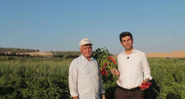 HÜDA PAR İl Başkanı'ndan Urfalı gençler için proje önerisi