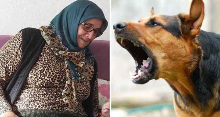 Çoban köpeğinin saldırdığı kadın öldü, köylüler hayvanı tüfekle vurdu