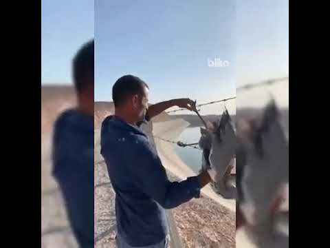 Şanlıurfa'da Günün En Güzel Görüntüsü... (VİDEO)