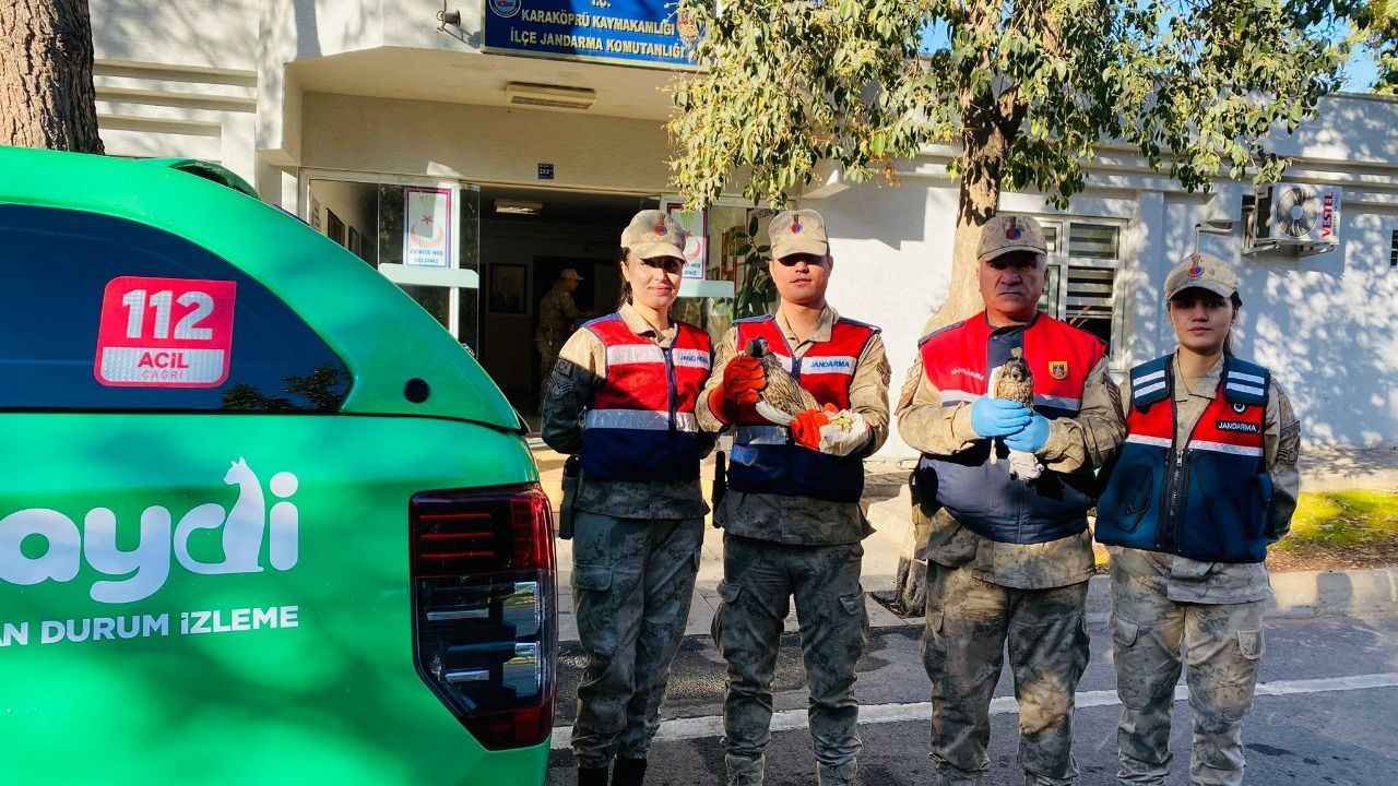 Urfa'da Jandarmanın durdurduğu araçta gözlerine bant çekilmiş halde bulundular