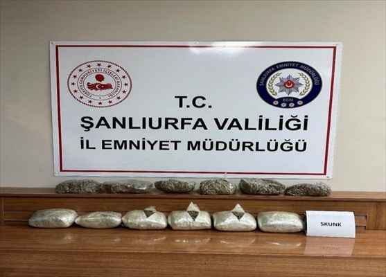 Şanlıurfa'da 6 kilogram skunk ele geçirildi