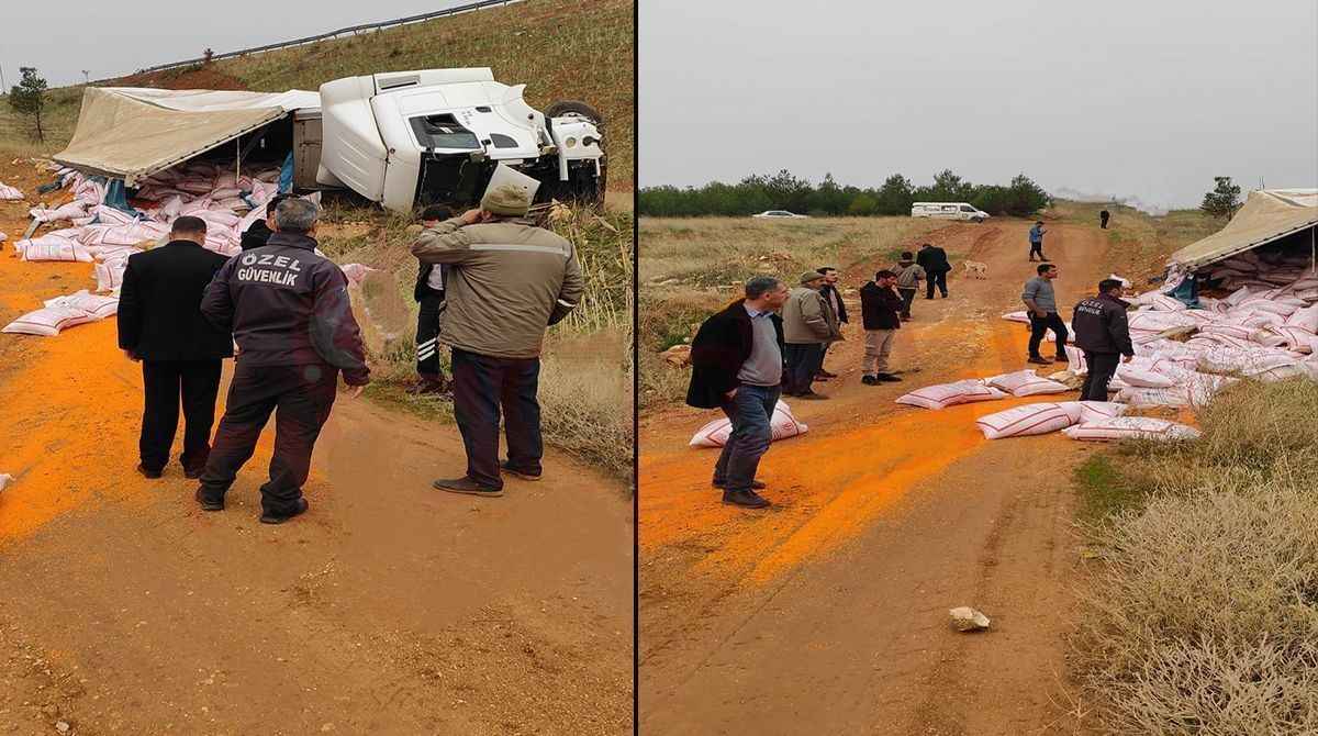 Urfa’da mercimek taşıyan tır devrildi