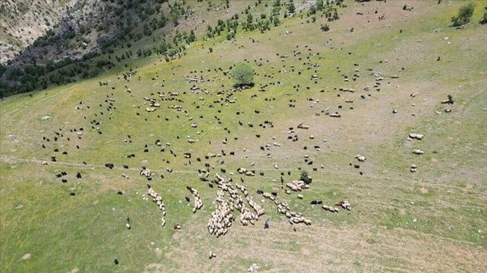 Göçerlerin günler sürecek olan yayla yolculuğu başladı