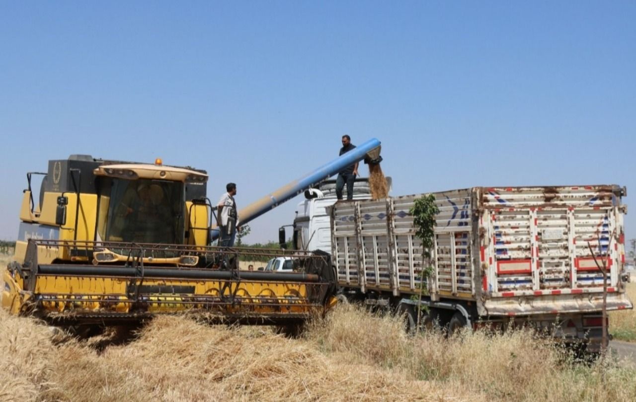 Buğday ve arpa alım fiyatları açıklandı