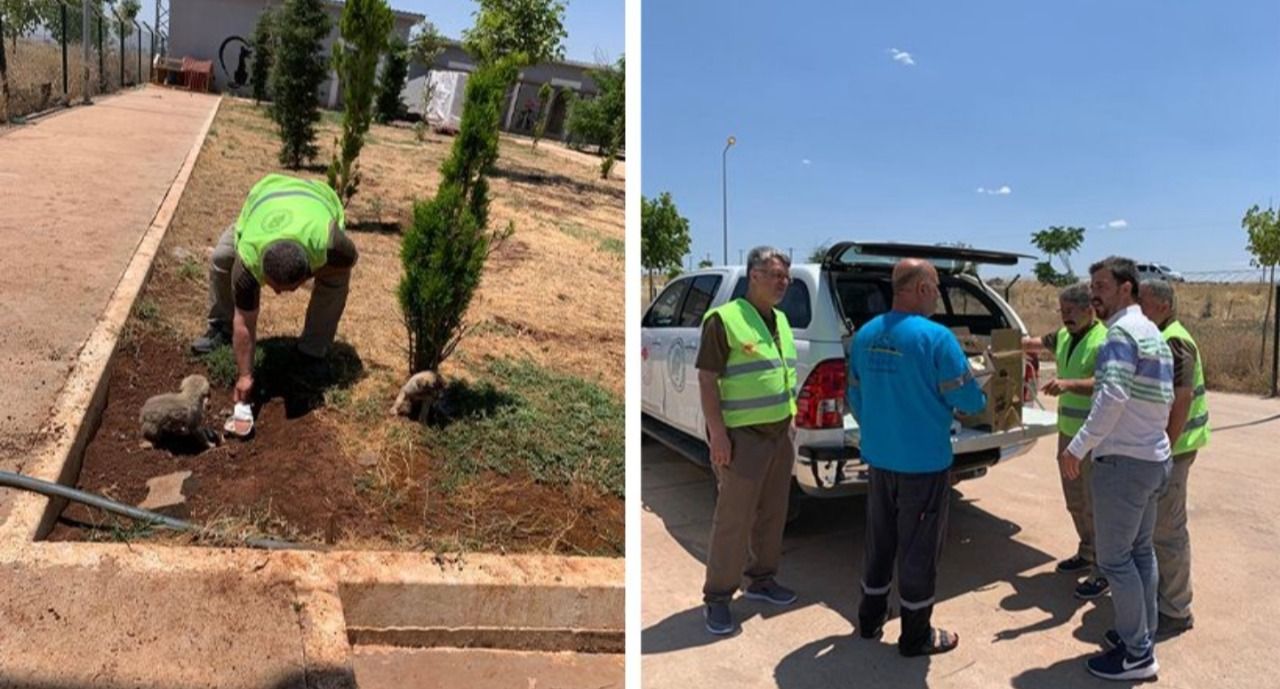 Urfa’da hayvan barınağına denetim