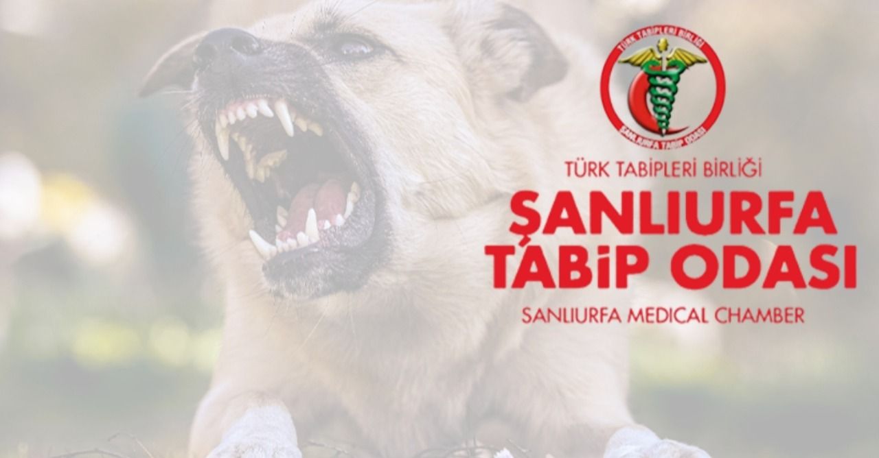 Urfa Tabip Odası’ndan kuduz vakalarına ilişkin açıklama!