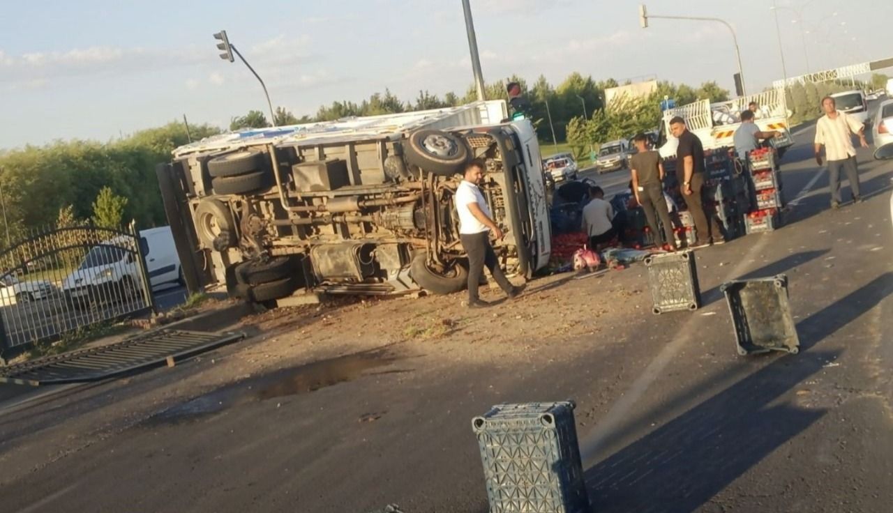 Şanlıurfa'da domates yüklü kamyon devrildi!