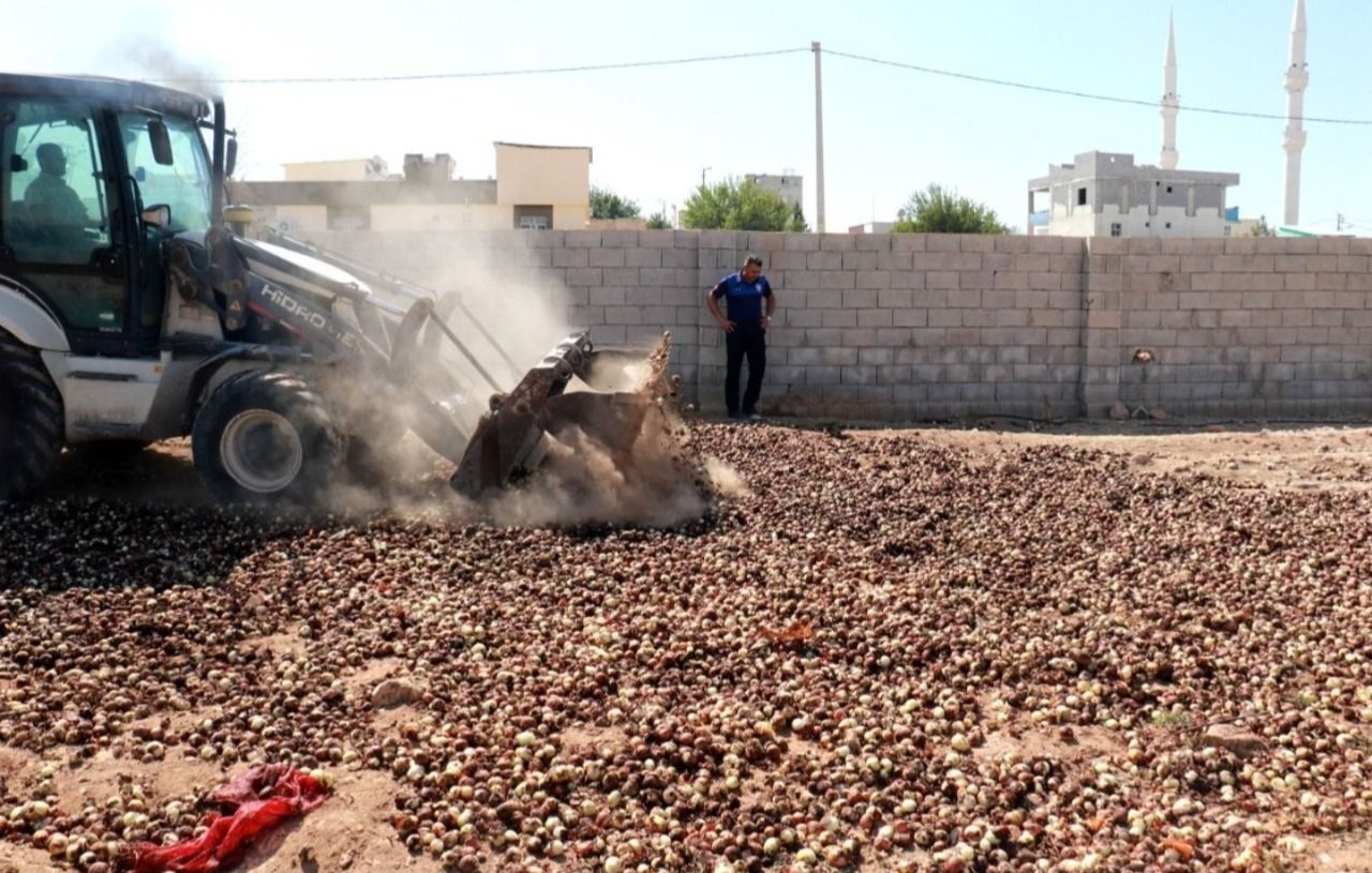 Akçakale’de 4 ton çürümüş soğan ele geçirildi