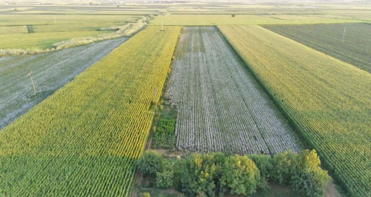 Tarım Bakanlığı harekete geçti: Ekilmemiş arazi kalmayacak