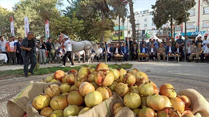 "Suruç 4. Nar Festivali" başladı