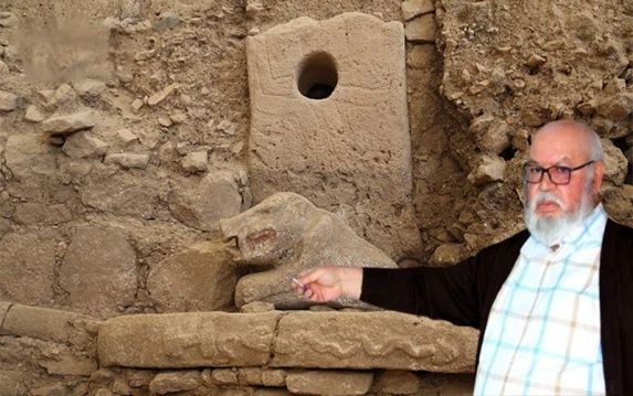 Göbeklitepe'de Heyecan Yaratan Keşif! Kralın bekçi köpeği: Domuz