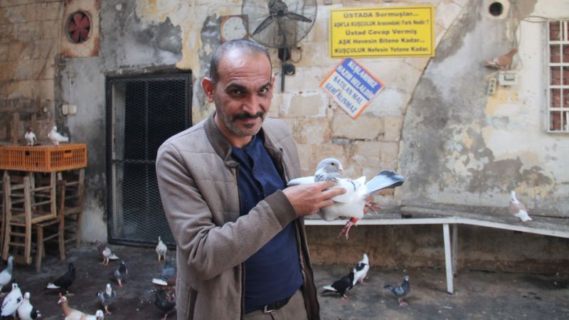 Dünyanın en iyileri Urfa’da yetiştiriliyor! Fiyatları lüks arabaları solladı!