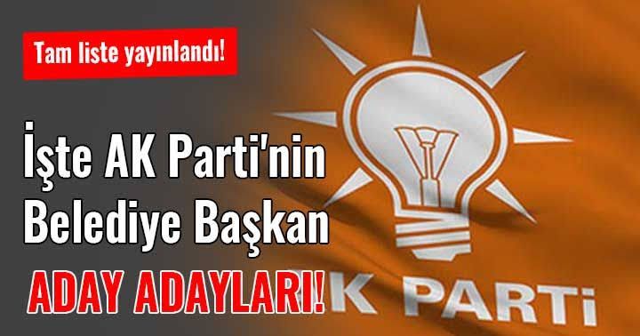 Şanlıurfa'da Belediye Başkan Aday Adaylığı İçin Müracaat Edenlerin Tam Listesi