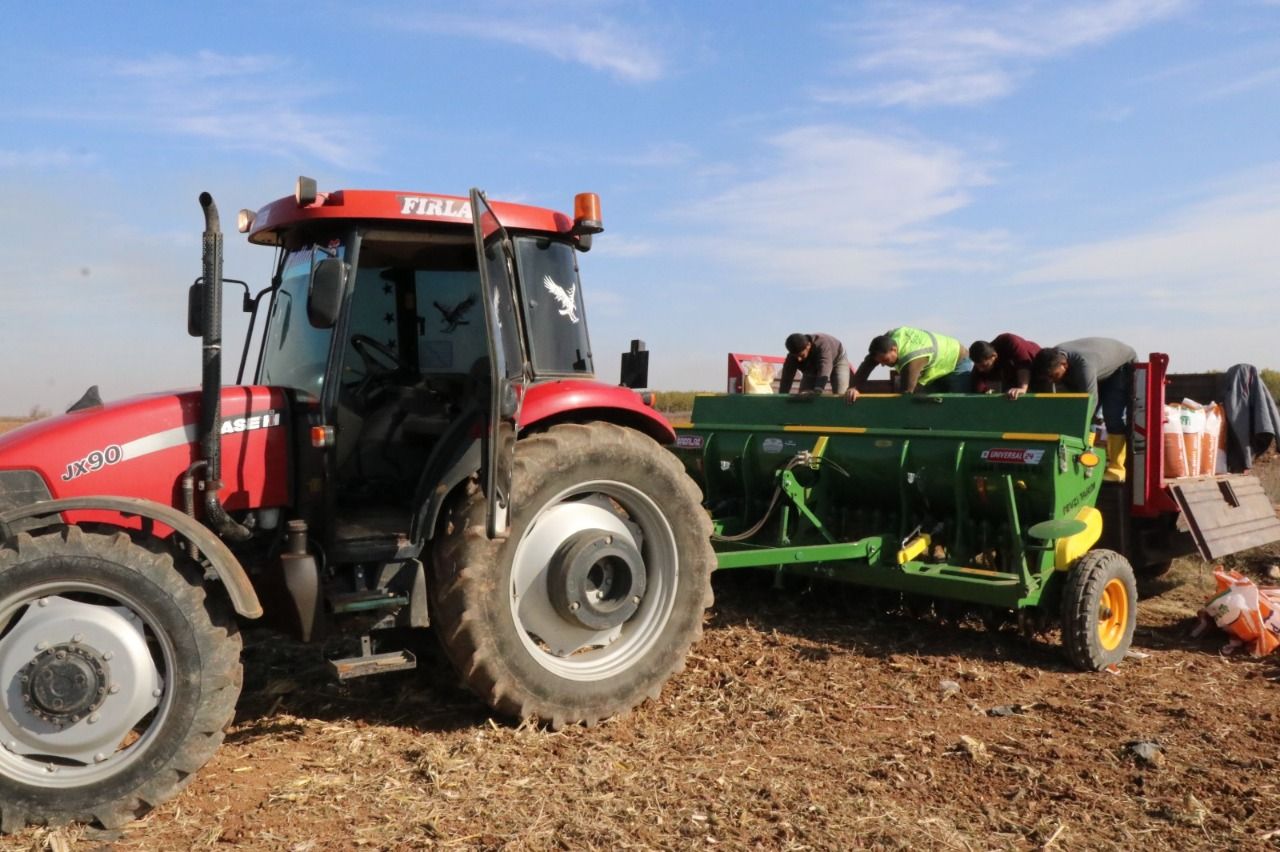 Yüksek rekolte bekleniyor: Urfa’da tohumlar toprakla buluştu!