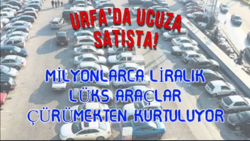 Şanlıurfa'da ucuza satılıyor! Akla gelmeyecek milyonlarca liralık araçlar…