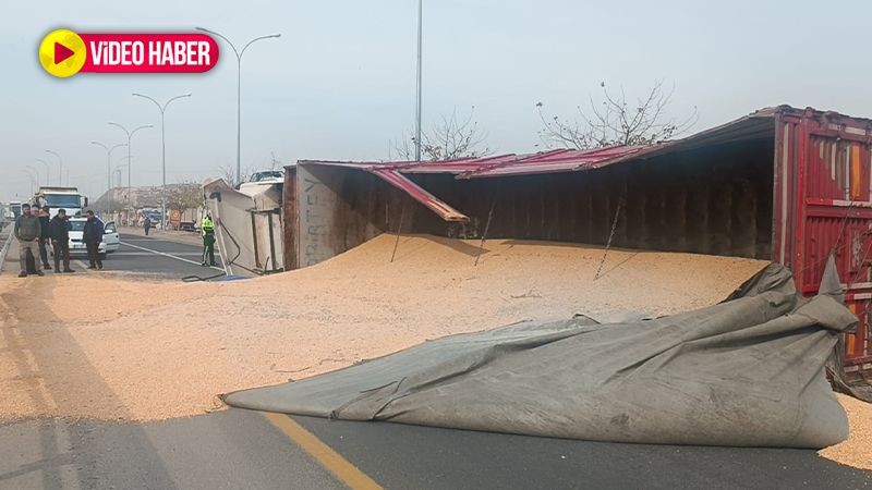 Şanlıurfa’da tır devrildi: Tonlarca mısır yola döküldü