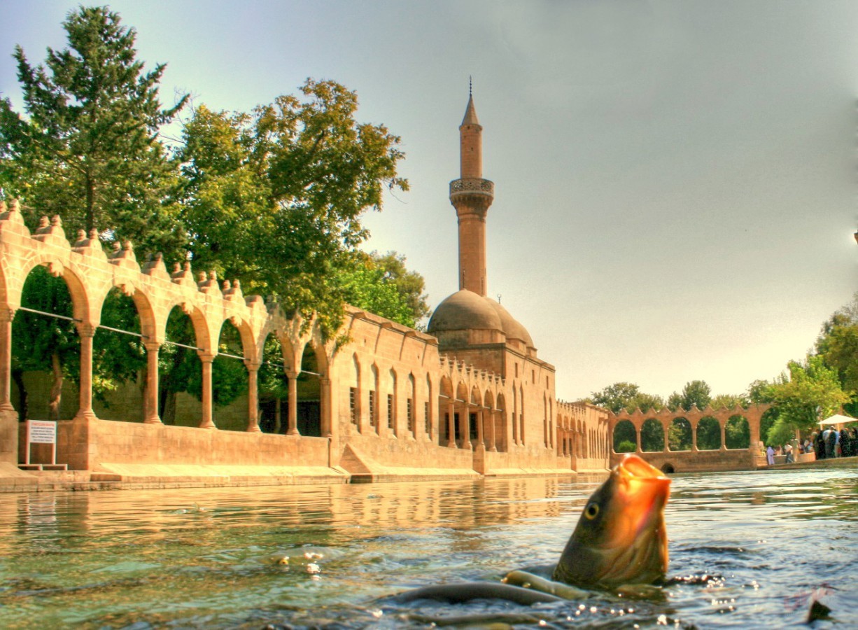 Şanlıurfa'nın turizmde “fiyasko” yılı