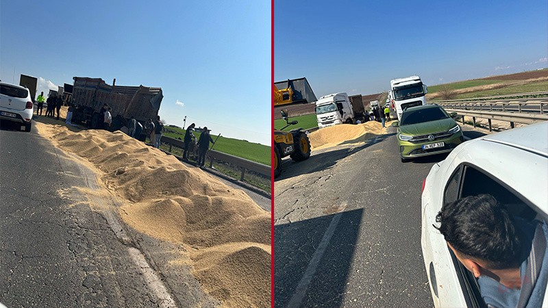 Şanlıurfa’da seyir halindeki kamyonun kapağı açıldı! Buğdaylar asfalta döküldü