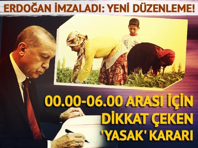 Mevsimlik tarım işçileriyle ilgili yeni düzenleme! Erdoğan imzaladı, Resmi Gazete'de yayımlandı