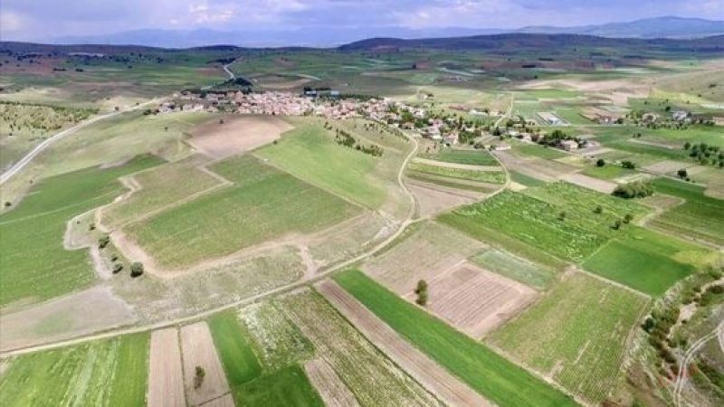 ‘Bu zamanda bu fiyata arsa olur mu?’ demeyin! Milli Emlak tam da o fiyata satıyor: Aylık sigara parası...