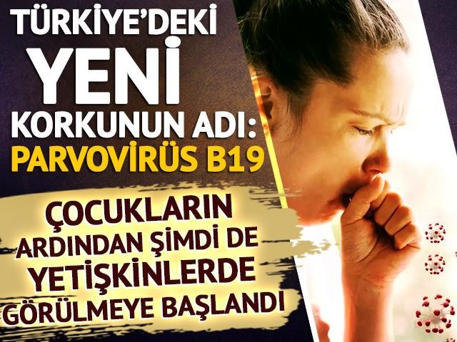 Parvovirüs B19 tehlikesi! Çocuklarda yayılmıştı, yetişkinleri de etkiliyor: Yoğun eklem ağrısıyla kendini gösteriyor