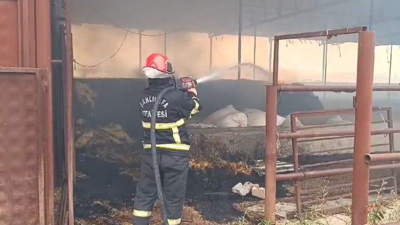 Şanlıurfa’da çiftlik alevlere teslim oldu!