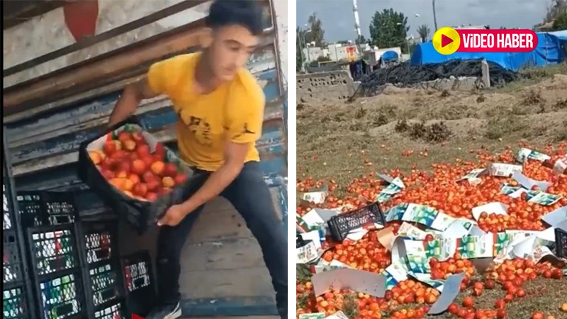 Mersin’de para etmiyor deyip boş arsaya döktü Şanlıurfa’da fiyatı dikkat çekti