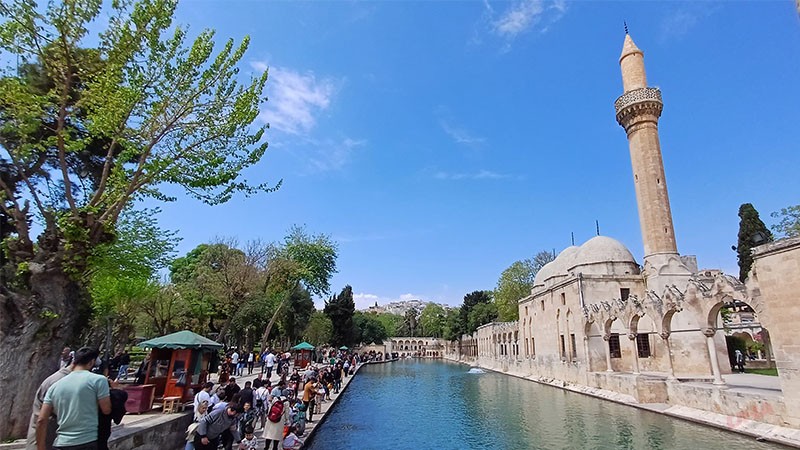 Başkan Gülpınar duyurdu! Engelli ve emeklilere de indirim!