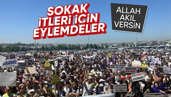 Sözde hayvanseverler yurdun dört bir yanında eylem yaptı