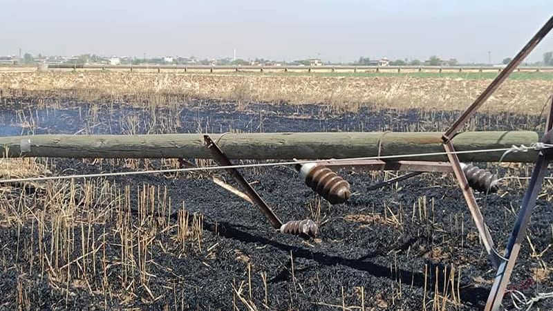 Şanlıurfa'da yine anız yangını! 3 mahalle elektriksiz kaldı