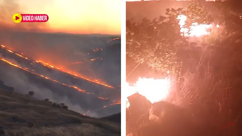 Şanlıurfa’da ekili alanda korkutan yangın: Onlarca fıstık ağacı ve dönümlerce ekili alan zarar gördü!