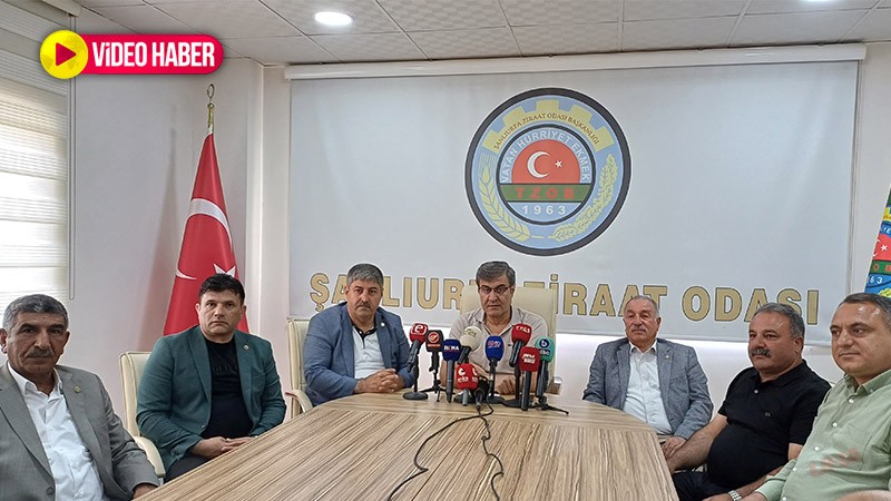 Hububat fiyatları Urfa’da tarlaları yaktı! Çiftçilerden tepki: "Komik bir rakam"