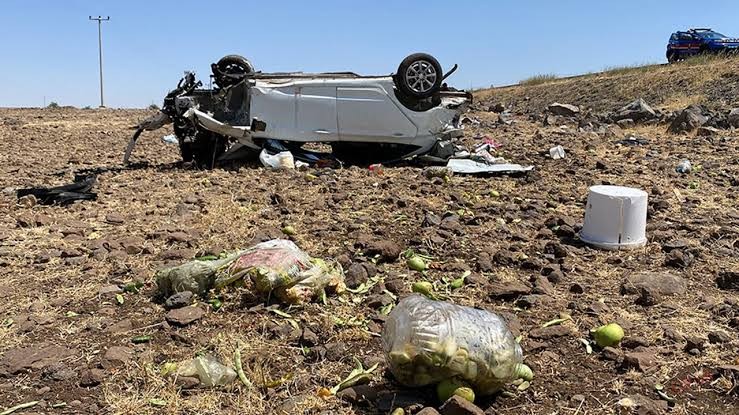 Şanlıurfa'da şarampole devrilen otomobildeki 3 kişi yaralandı