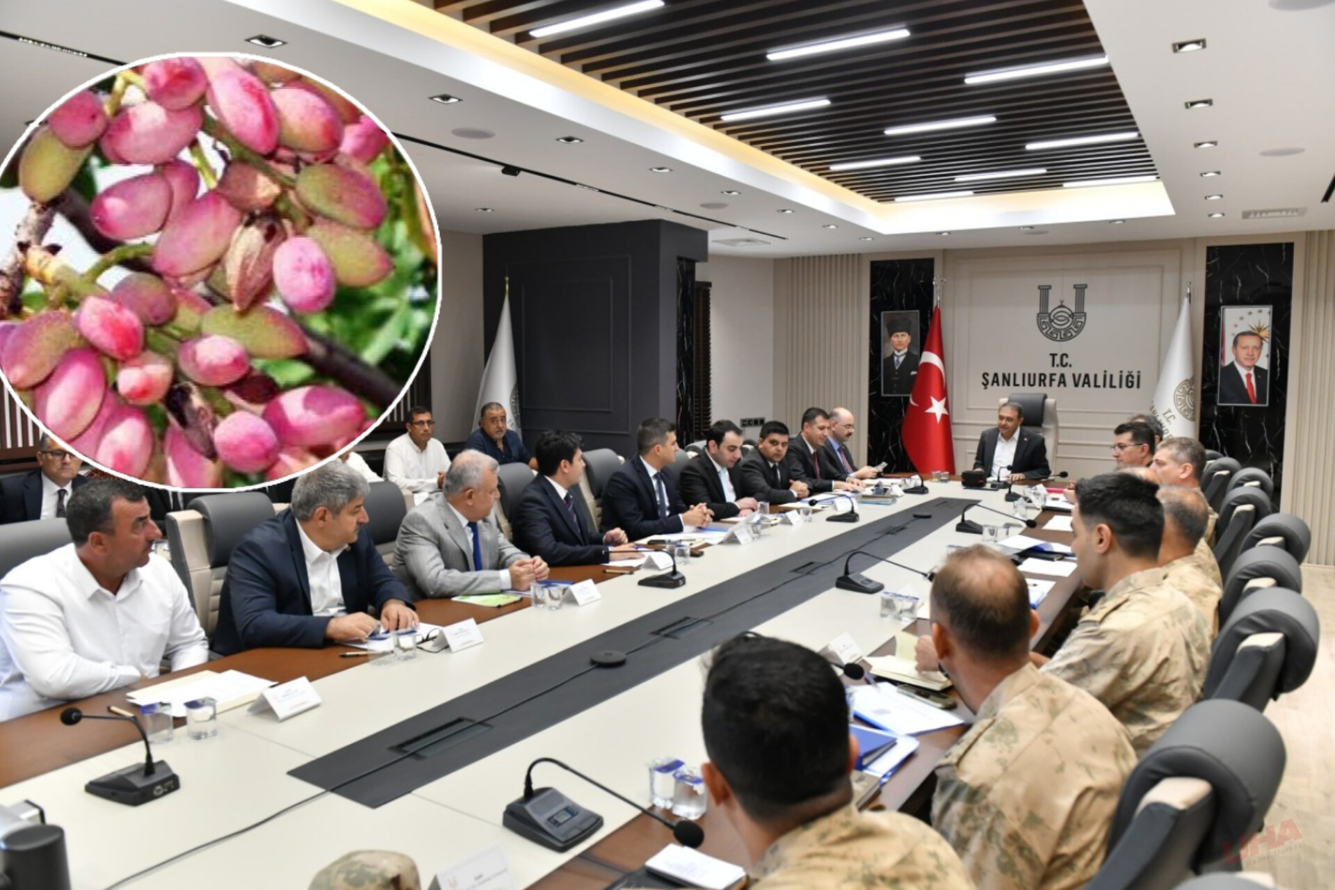 Şanlıurfa'da Fıstık Hasadı Güvence Altında: Hırsızlığa Karşı Geniş Çaplı Önlemler Alındı