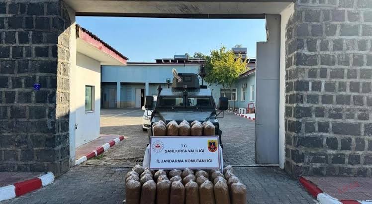 Şanlıurfa'da 240 kilogram kaçak tütün ele geçirildi